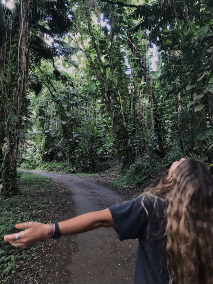 Imagem de gartoa passeando na natureza